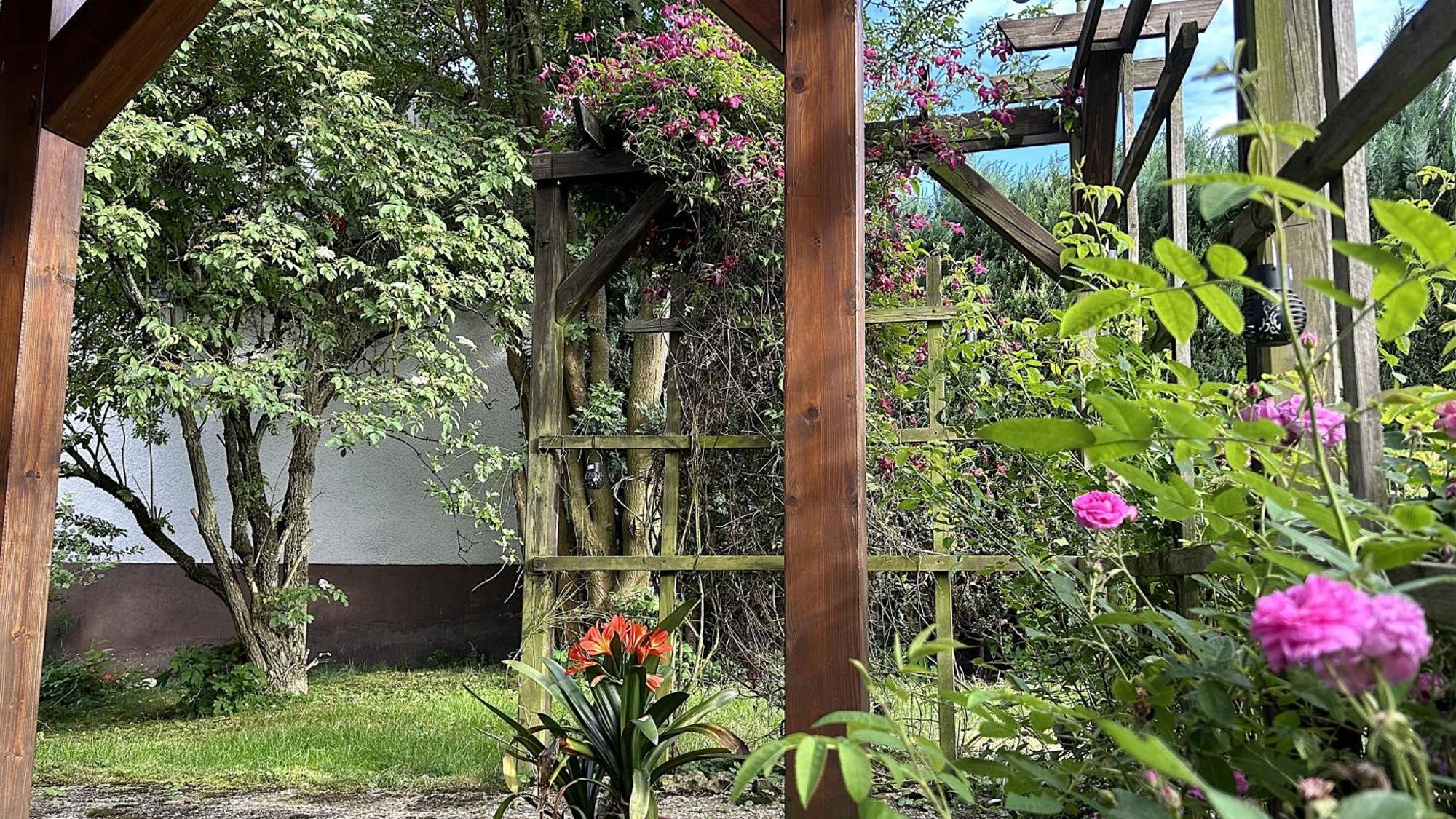 Grosszuegige Wohnung Mit Terrasse Und Gartenzugang - Das Komplette Erdgeschoss Bindlach Eksteriør billede